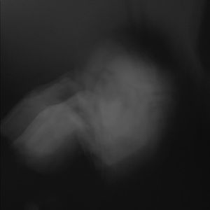 Meet your Posher, Jade